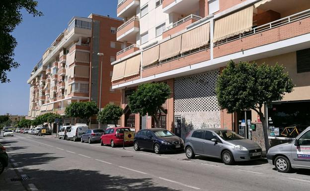 Ficus en la calle Carmen Conde de Teatinos que serán sustituidos. /J. M. A.