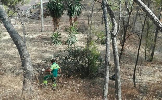 Un operario trabajando este lunes
