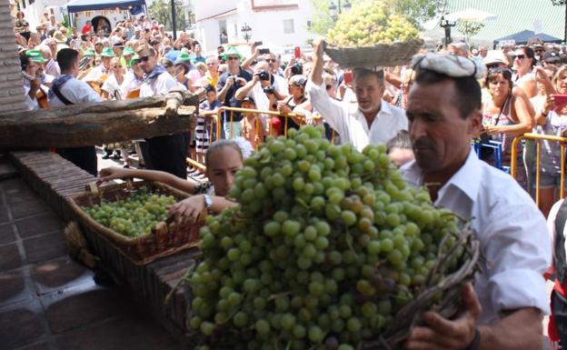 Cómpeta saca partido a su vino moscatel