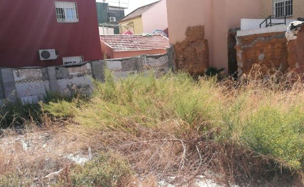 Solar que los vecinos señalan como foco de ratas e insectos.