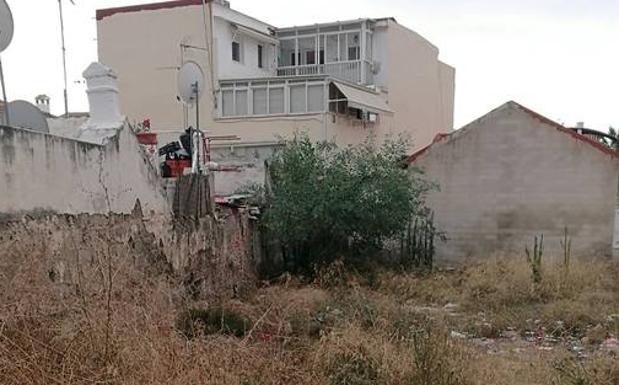 La vegetación ha crecido y se mete en algunas casas.