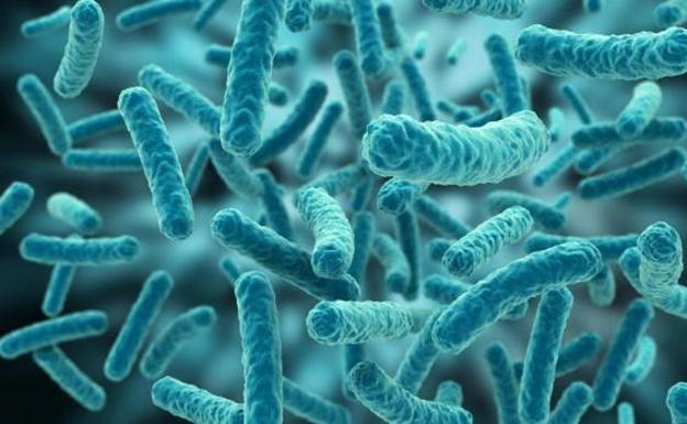 Alertan de una bacteria resistente a antibióticos que se está propagando por el sur de Europa