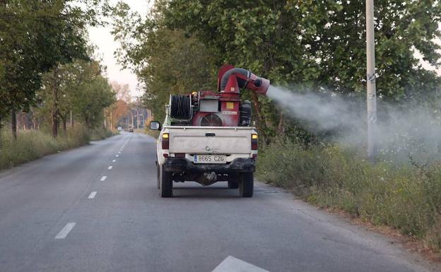Rocían con producto adulticida la carretera del Campo de Golf hace unos meses. /Salvador Salas