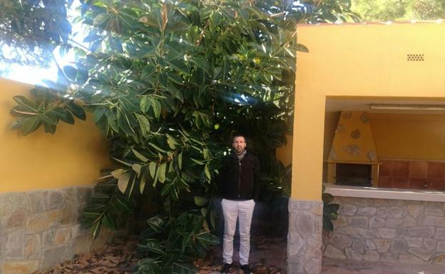 Ernesto Díaz junto a las ramas del ficus que se meten en su vivienda y afirma causa grietas./