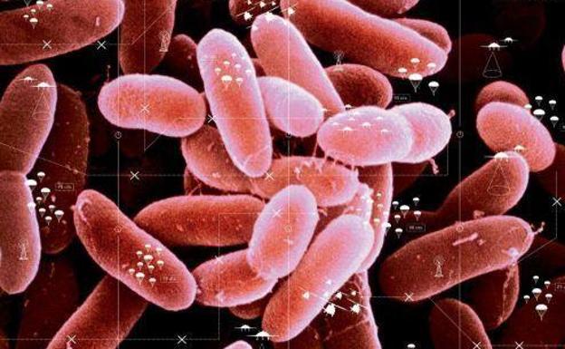 ¿Qué es la meningitis? Primeros síntomas de alerta