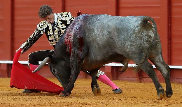El diestro Manuel Escribano en su faena la muleta al segundo de su lote. :: efe/