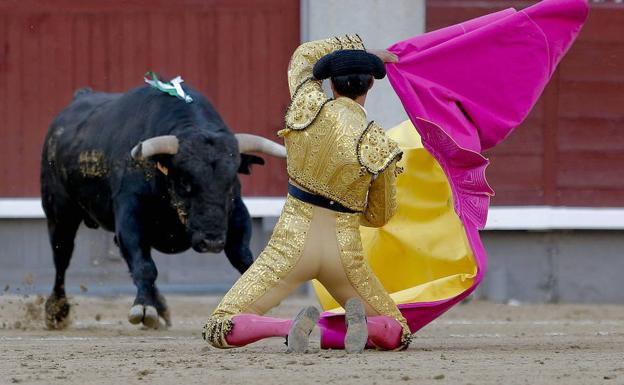 Prohibamos De Una Vez La Tauromaquia Diario Sur