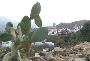 ALGATOCÍN. El suceso ocurrió en el paraje de Ventorro Solera, en la parte baja del río Genal. / F. S./