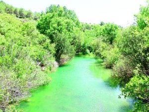 CAUCE. El río Turón tiene numerosas pozas a lo largo y ancho de su recorrido./