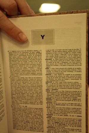 La nueva denominación de la 'y' ha suscitado la controversia. ::
SUR/