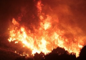 Las llamas han afectado a 361 hectáreas forestales y a otras tantas del tipo denominado interfase, donde confluyen áreas urbanas y boscosas. :: ANTONIO SALAS/