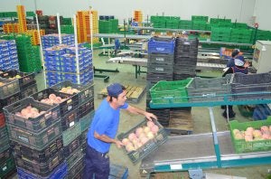 La firma la fundó hace veinte años Juan Antonio Reyes Gutiérrez en Vélez-Málaga y cuenta con una nave de 5.500 metros cuadrados. :: E. CABEZAS/
