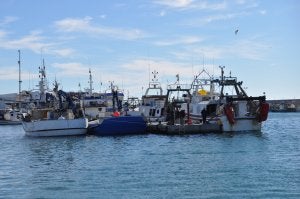 El proyecto piloto en Andalucía se desarrollará en el puerto pesquero de Caleta de Vélez. A. Peláez/