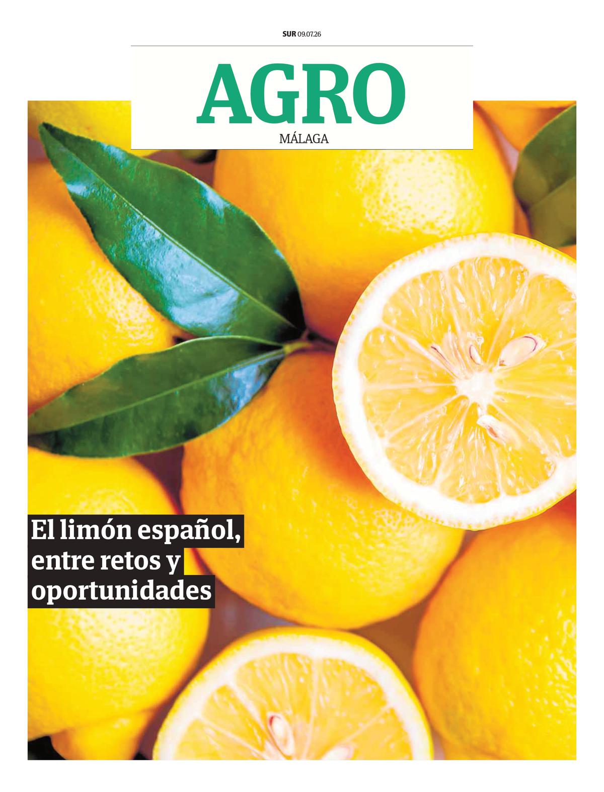 Imagen Edición Completa