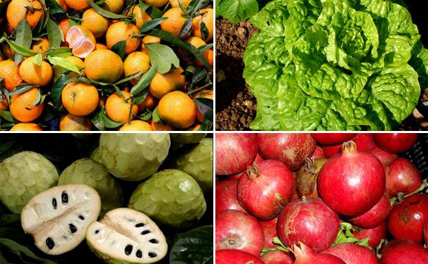 15 productos de temporada para septiembre en Málaga