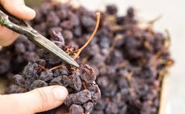 7 frutos secos o desecados que puedes encontrar en la provincia de Málaga