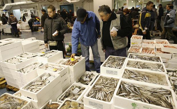 Los pescados, mariscos y moluscos más caros del litoral malagueño