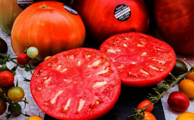 Frutas y hortalizas de verano de Málaga (y dónde comprarlas)