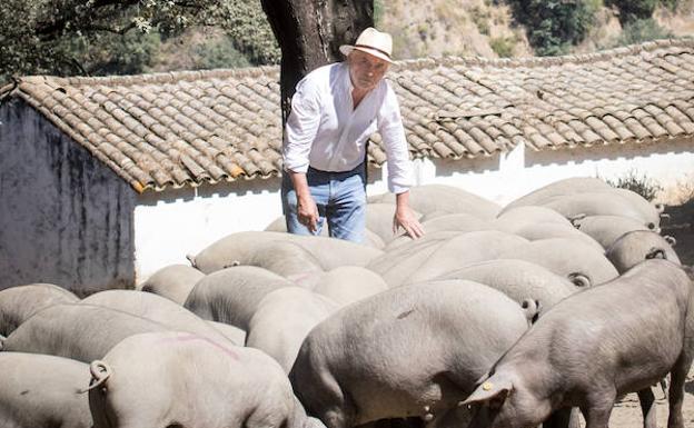 Málaga, despensa de El Pimpi