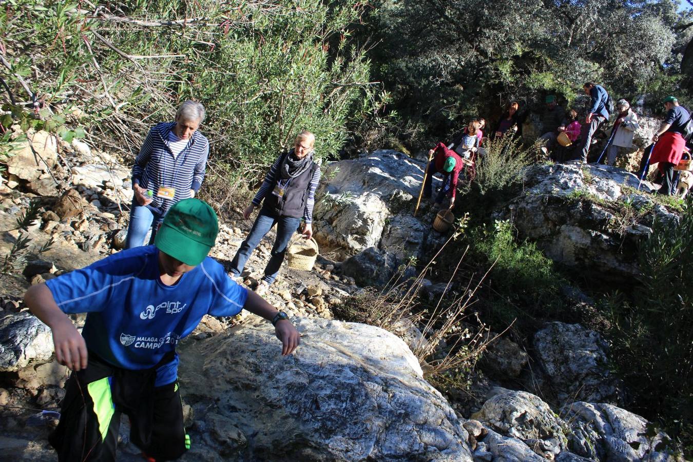 Setas y pitufos en Júzcar