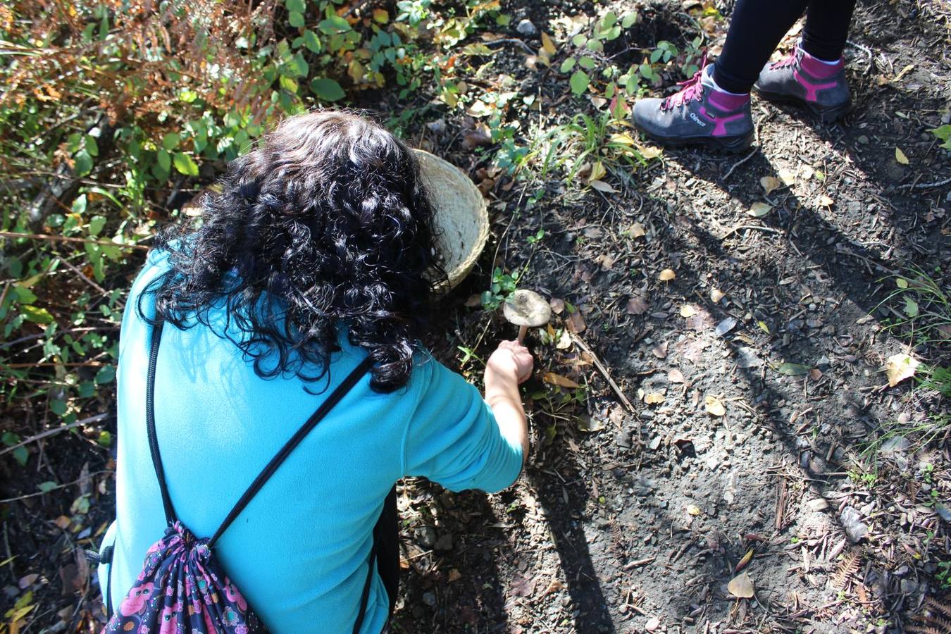 Setas y pitufos en Júzcar