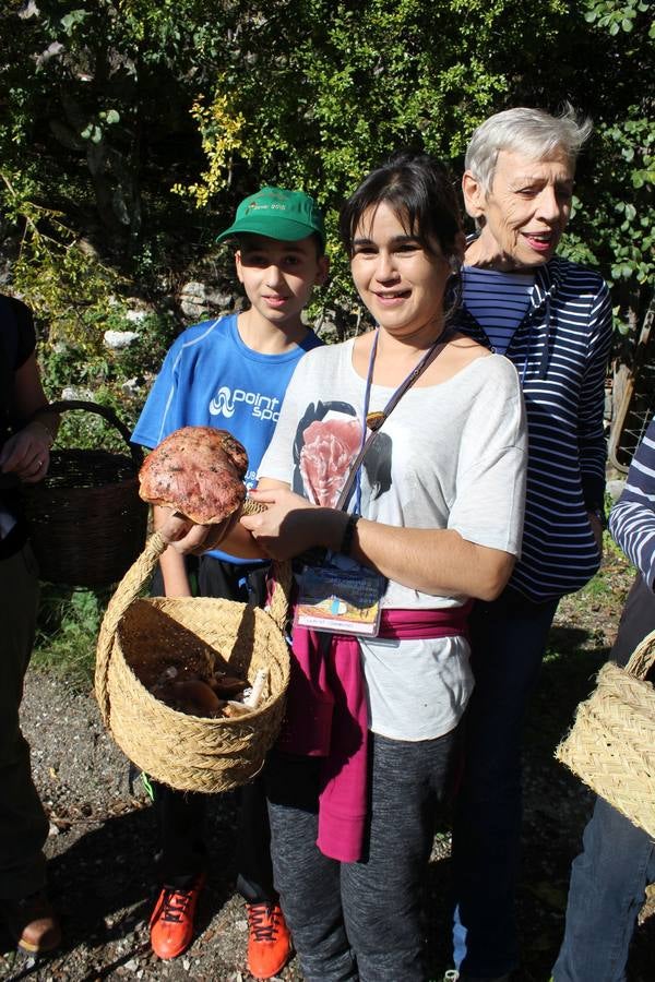 Setas y pitufos en Júzcar