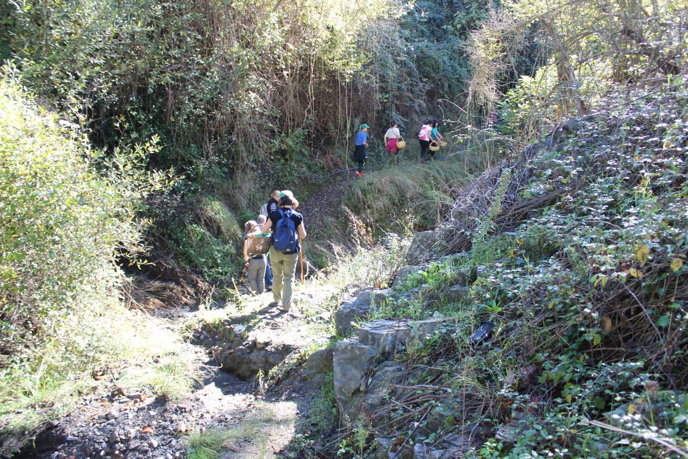 Setas y pitufos en Júzcar