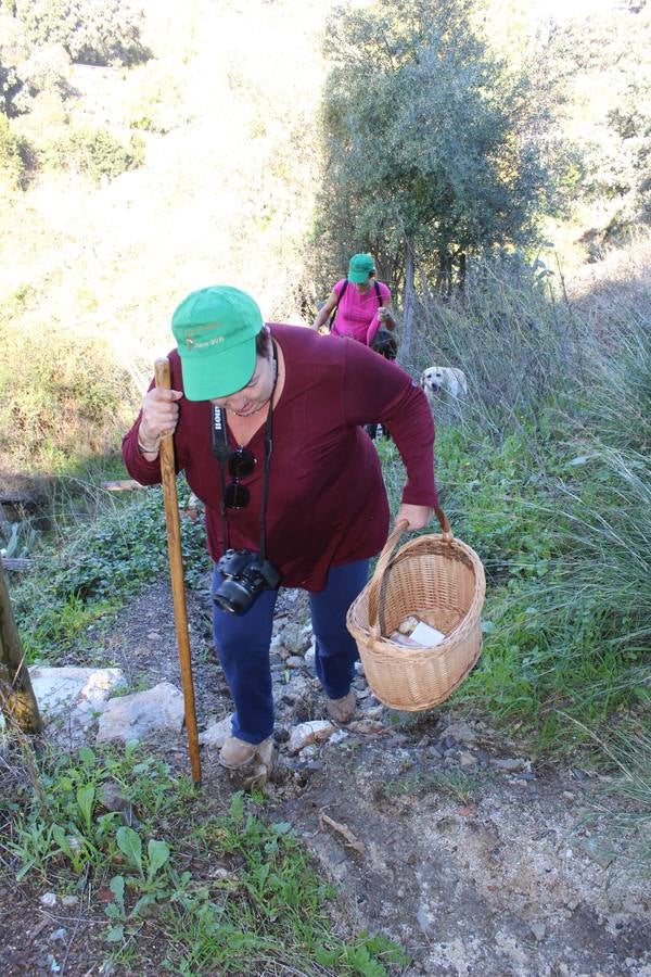 Setas y pitufos en Júzcar