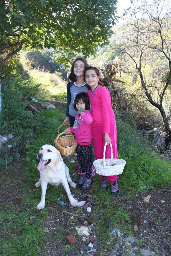 Setas y pitufos en Júzcar