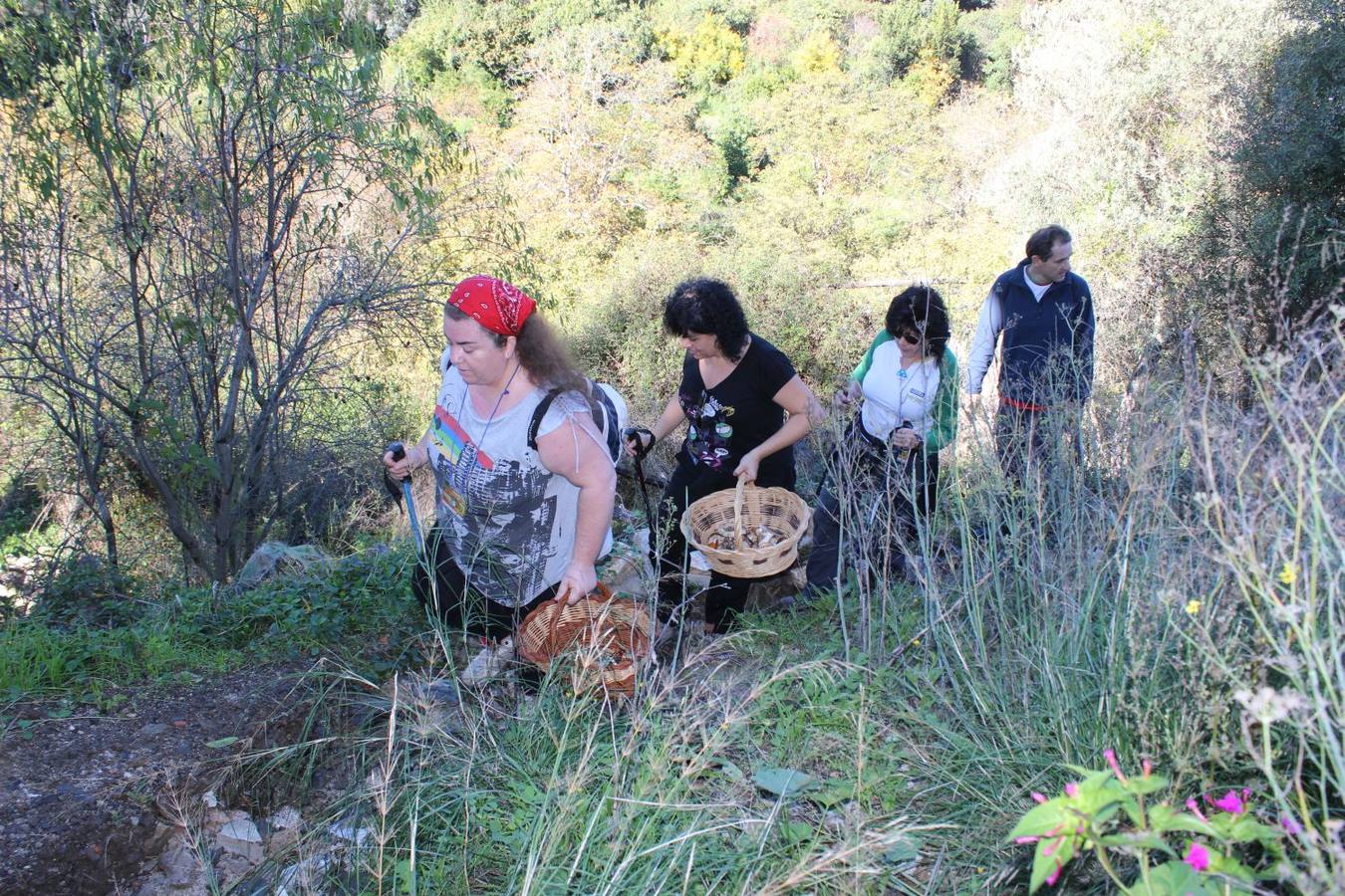 Setas y pitufos en Júzcar