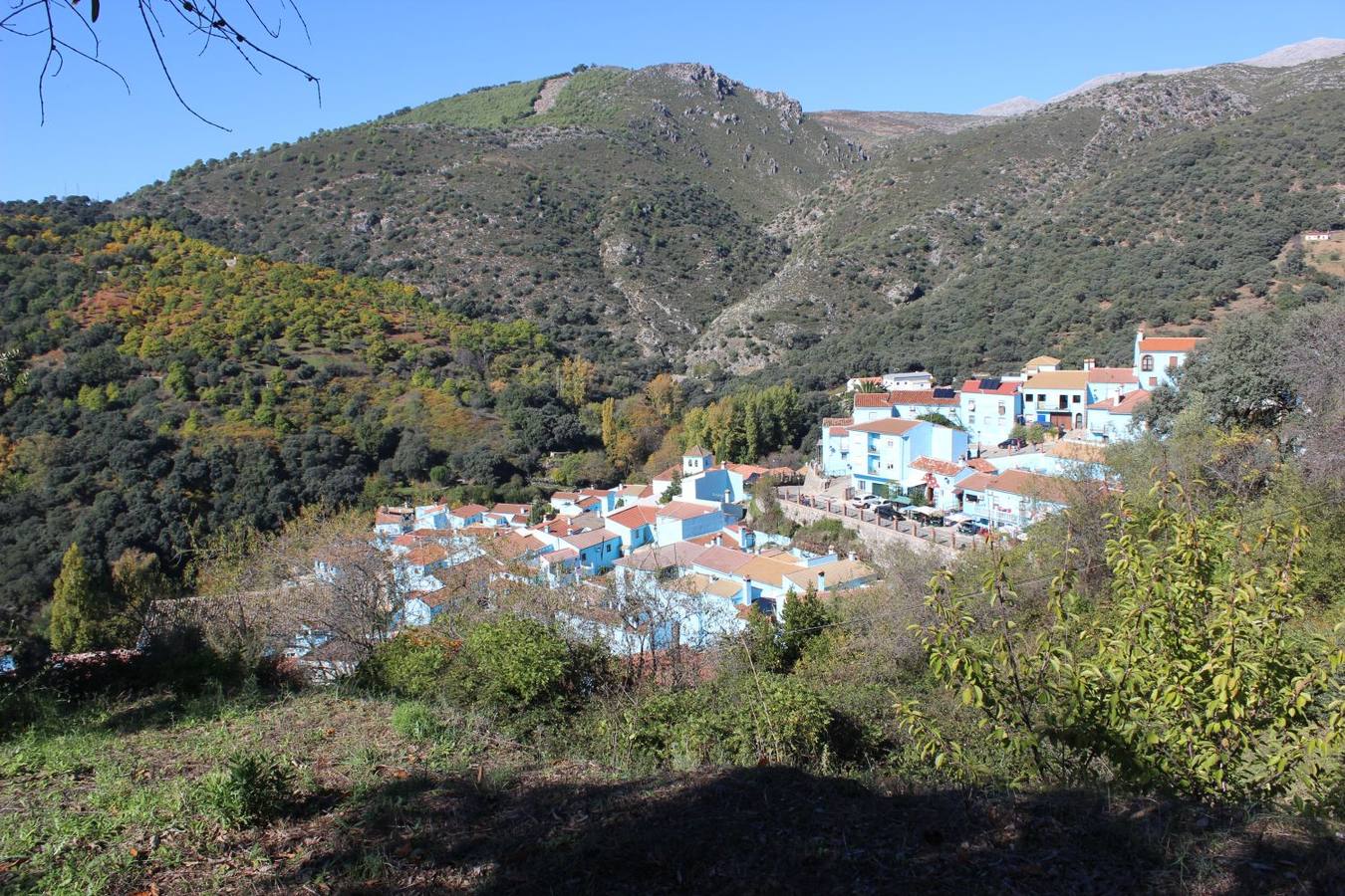 Setas y pitufos en Júzcar