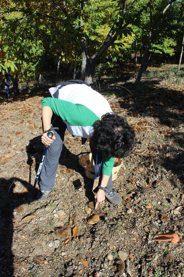 Setas y pitufos en Júzcar