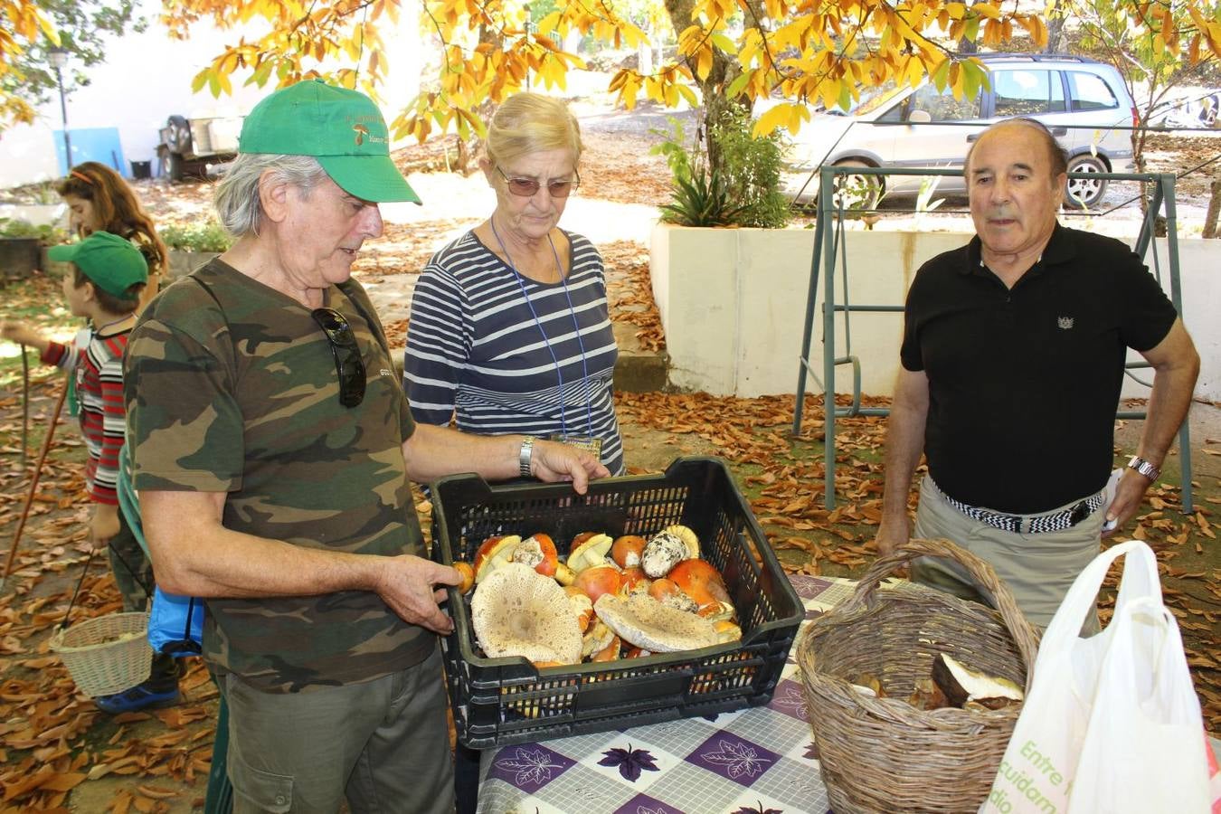Setas y pitufos en Júzcar