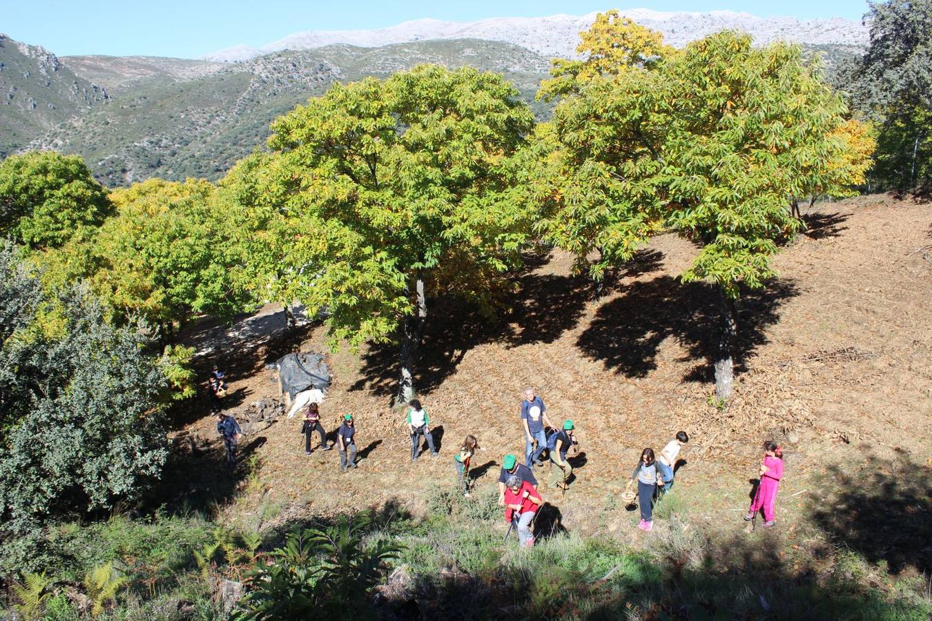 Setas y pitufos en Júzcar