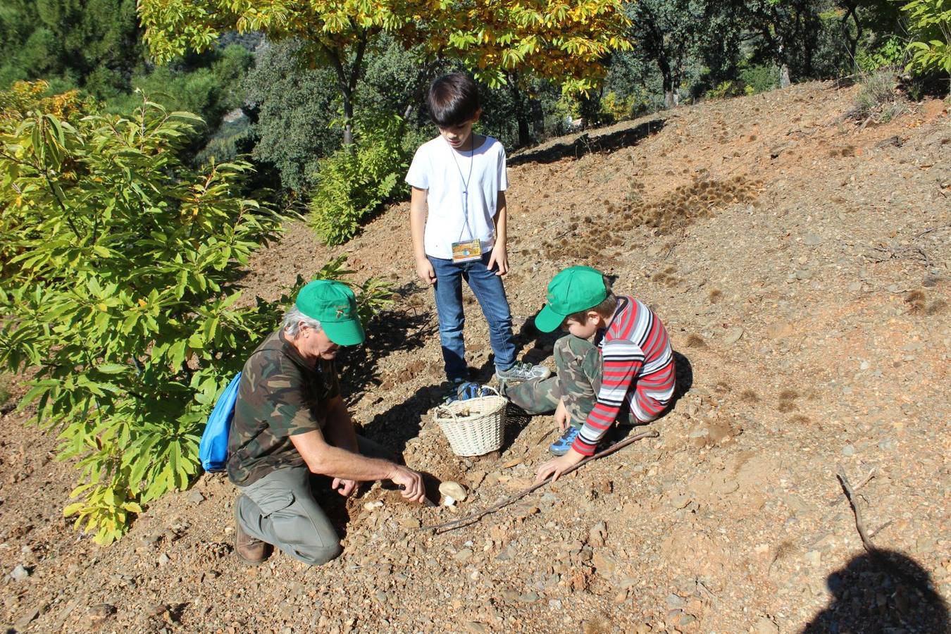Setas y pitufos en Júzcar