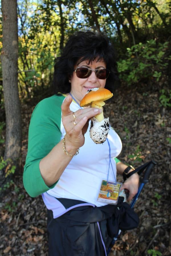 Setas y pitufos en Júzcar