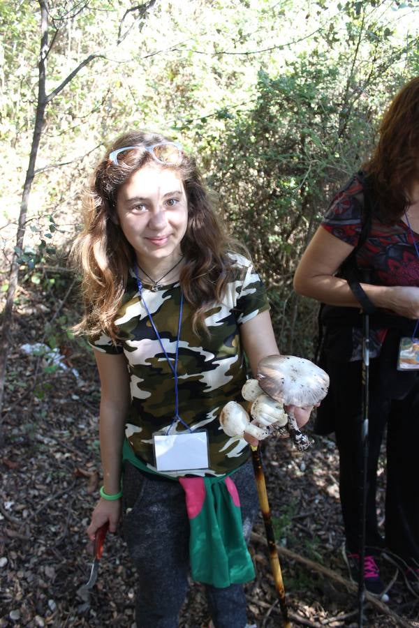 Setas y pitufos en Júzcar