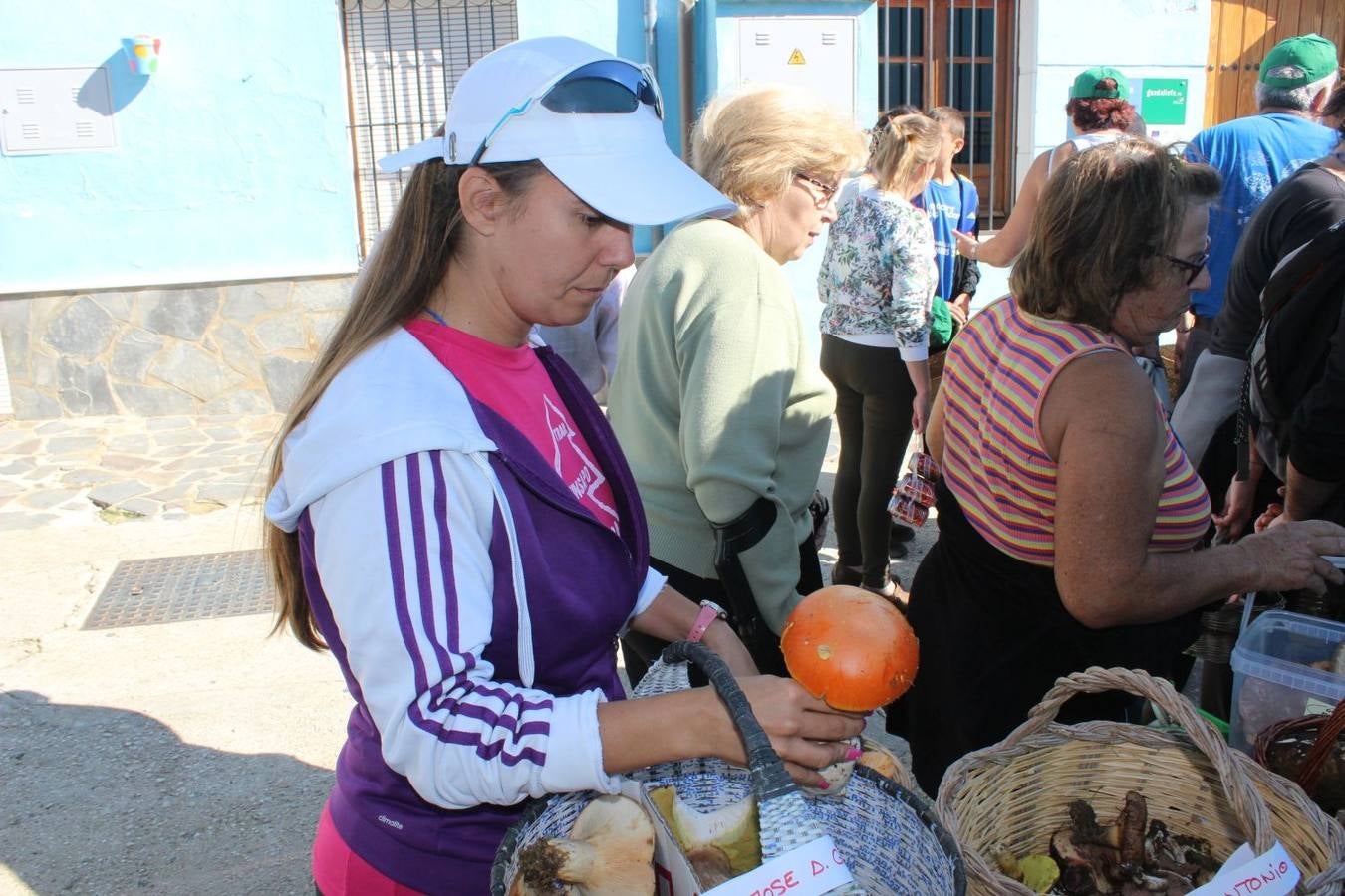 Setas y pitufos en Júzcar