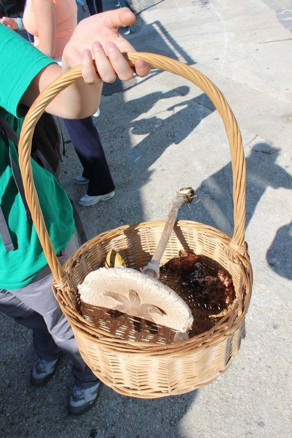 Setas y pitufos en Júzcar