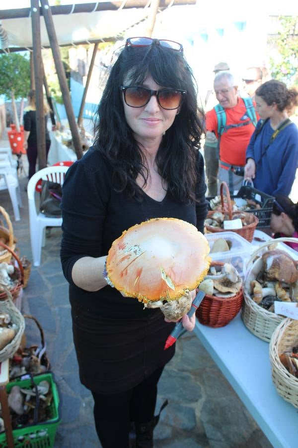 Setas y pitufos en Júzcar