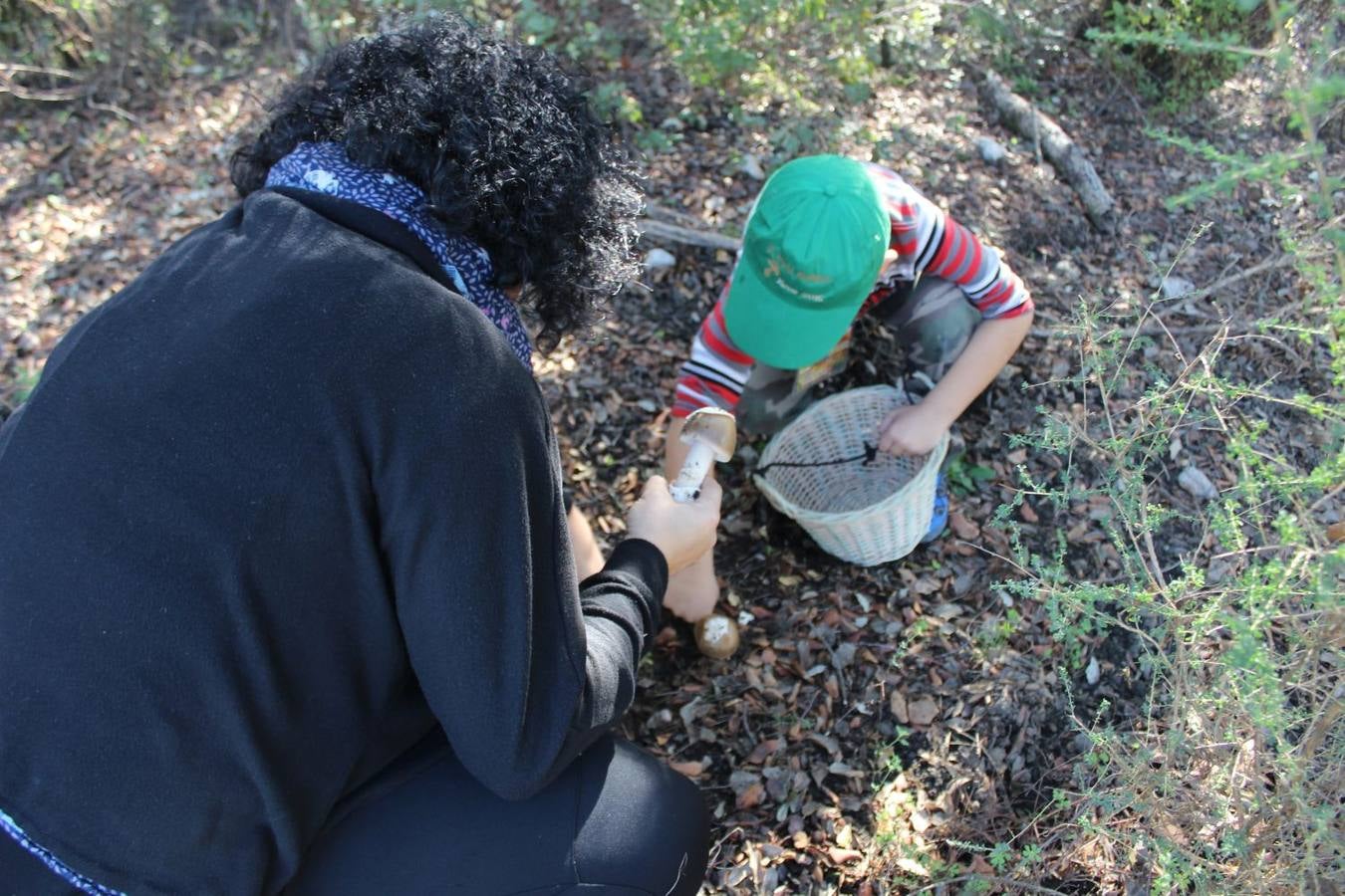 Setas y pitufos en Júzcar
