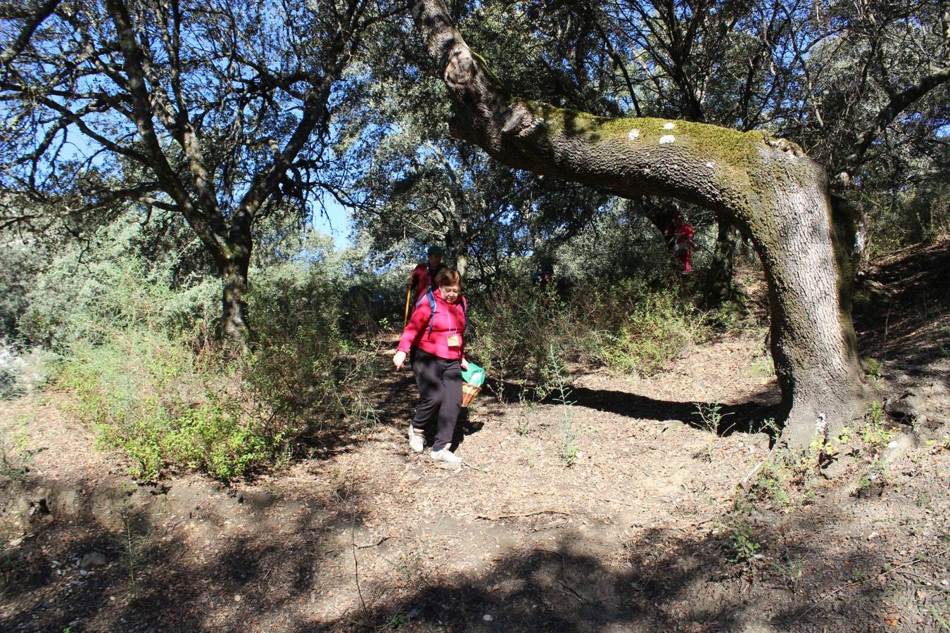 Setas y pitufos en Júzcar