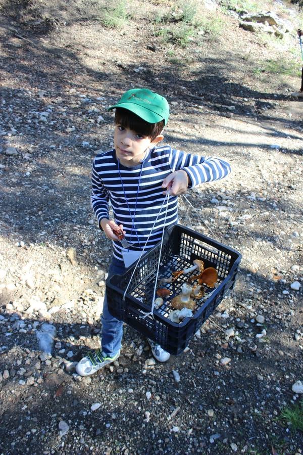 Setas y pitufos en Júzcar