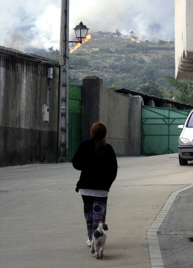 El fuego arrasa 2.000 hectáreas en Cáceres - diariosur.es