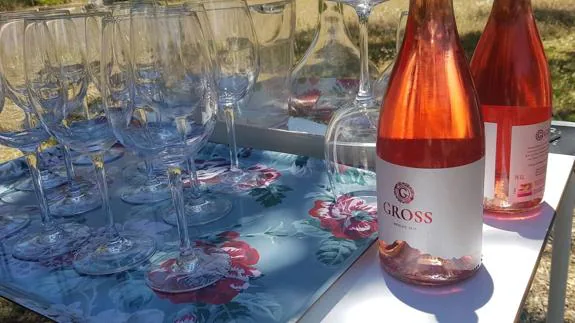 Rosé, the wine of the summer