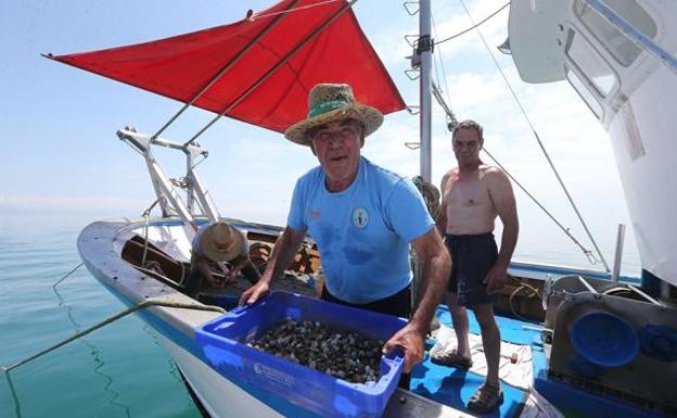 Fishermen celebrate the return of clam fishing