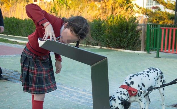 More drinking water fountains to be installed for people and their pets