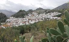 No large municipality in Andalucía exceeds the 1,000 Covid rate one day ahead of the curfew restriction revisions