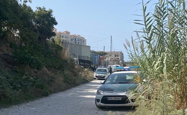 A gardener dies after a palm tree falls on him in Nerja
