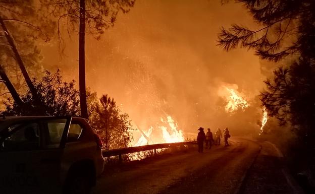 Infoca scrambles 29 aircraft to try and control the huge wildfire near Estepona